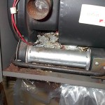 Photo of an RV furnace with aq mouse nest.